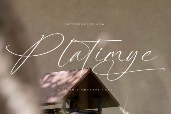 Platimye: A Script Font for Editorial Sophistication
