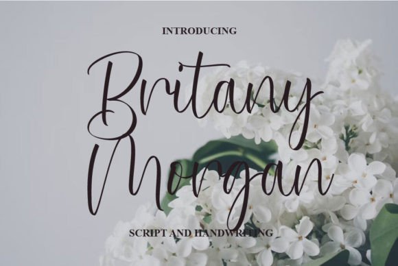 The Elegant Possibilities of Britany Morgan, a Designer's Favorite Script Font